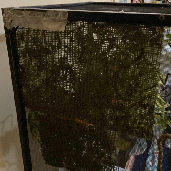 Reptile terrarium - Picture 3 of 5